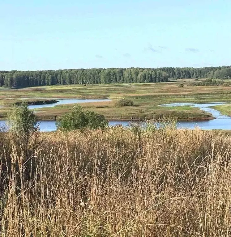 Дом в Пермский край, Березники муниципальное образование, д. Кондас ... - Фото 1