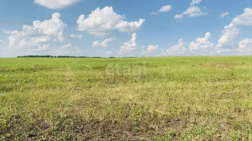 Участок в Тульская область, Новомосковск Сокольники мкр,  (813.4 сот.) - Фото 1