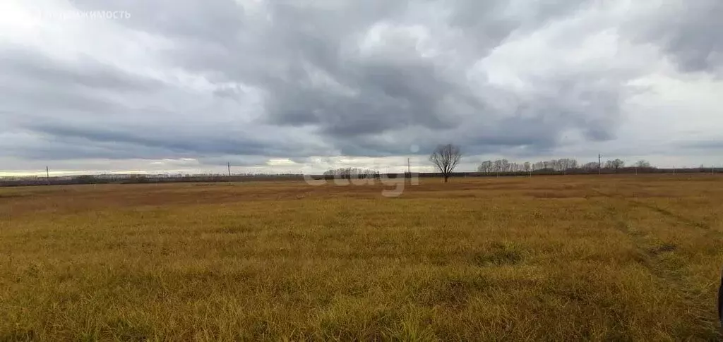 Участок в Стерлитамакский район, Отрадовский сельсовет, село Новая ... - Фото 0