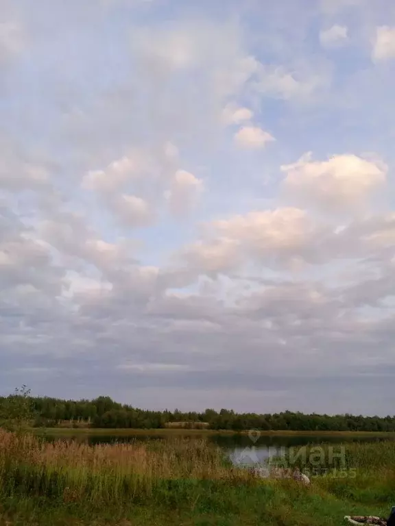 Участок в Тверская область, Вышневолоцкий муниципальный округ, д. ... - Фото 2