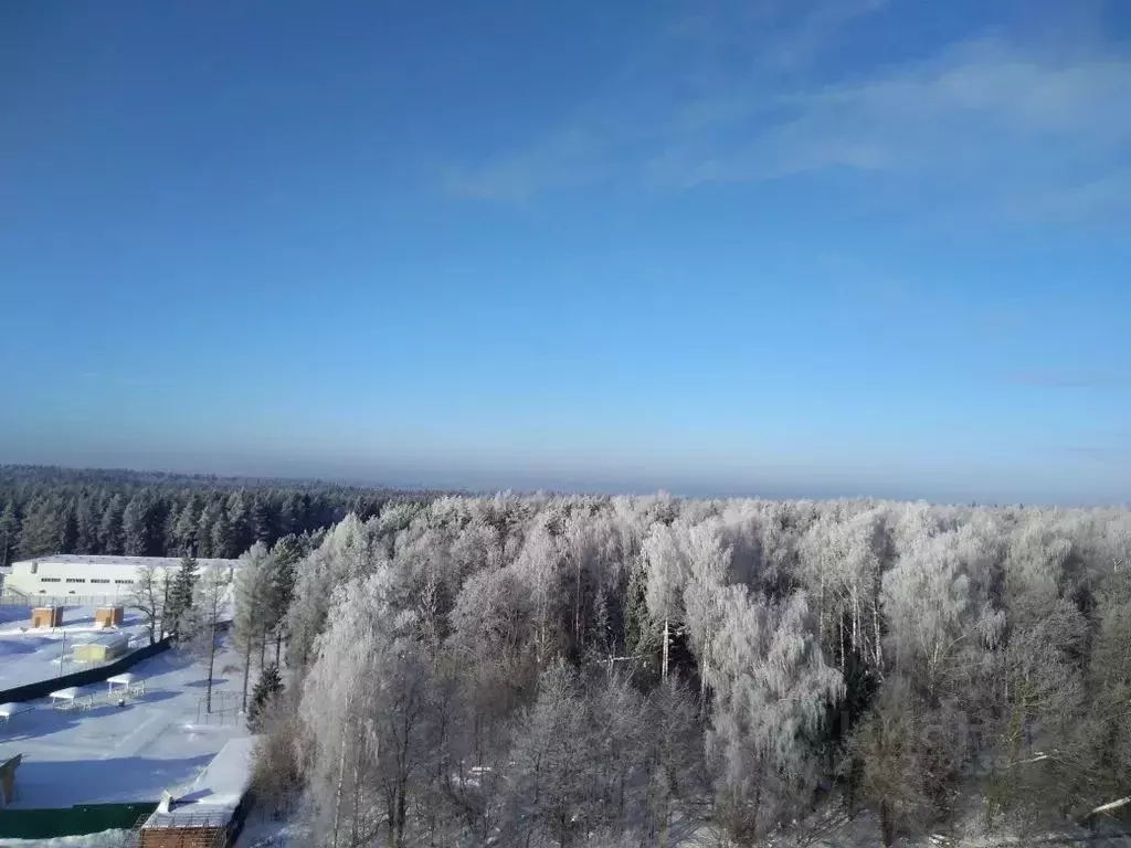 Студия Московская область, Звенигород Одинцовский городской округ, ... - Фото 1