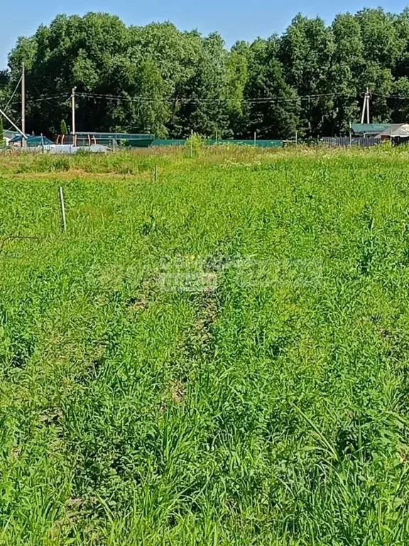 Участок в Калужская область, Калуга Городенская долина кп,  (12.6 ... - Фото 1