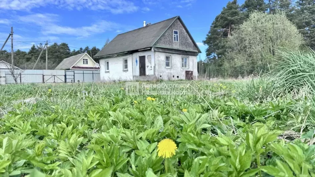 Дом в Ленинградская область, Сясьстрой Волховский район, Лесная ул., ... - Фото 1