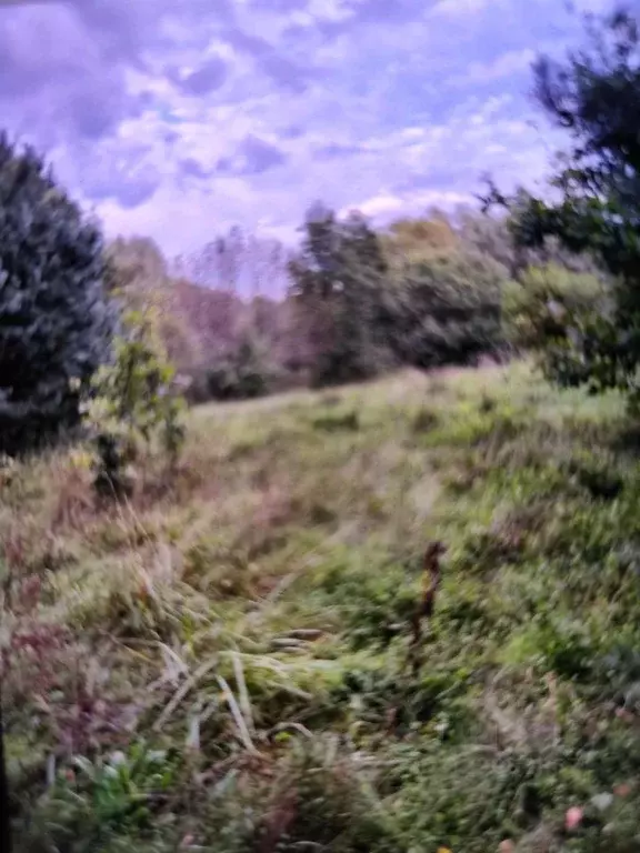 Участок в Псковская область, Пушкиногорский муниципальный округ, с. ... - Фото 1