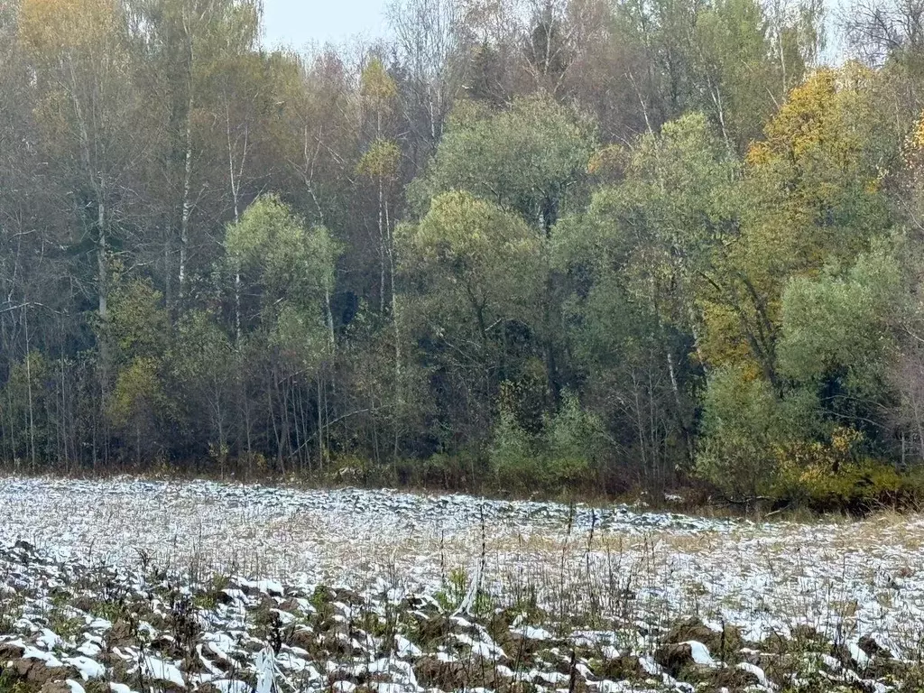 Участок в Московская область, Солнечногорск городской округ, д. ... - Фото 0