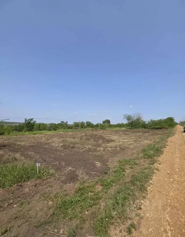 Участок в Ростовская область, Родионово-Несветайский район, ... - Фото 2