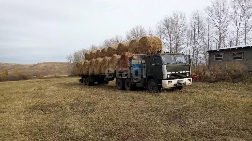 Участок в Алтайский край, Алтайский район, с. Алтайское ул. Советская, ... - Фото 1