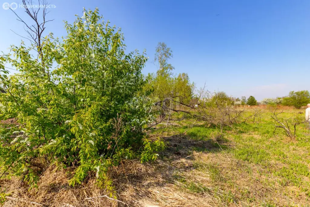 Участок в село Тополево, СНТ 19 Клетка (6.7 м) - Фото 0