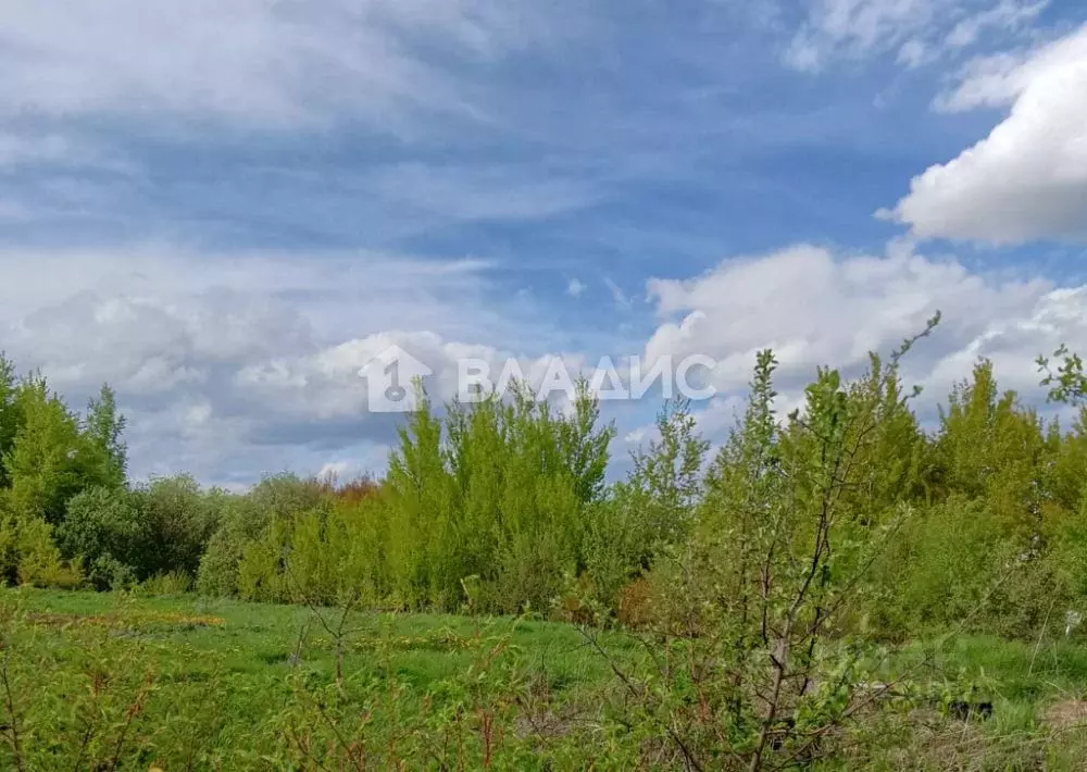 Купить Участок В П Садовый Суздальского Района