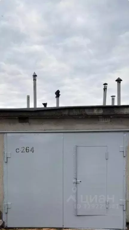 Гараж в Челябинская область, Челябинск ГСК № 11 Градский тер., С264 ... - Фото 2