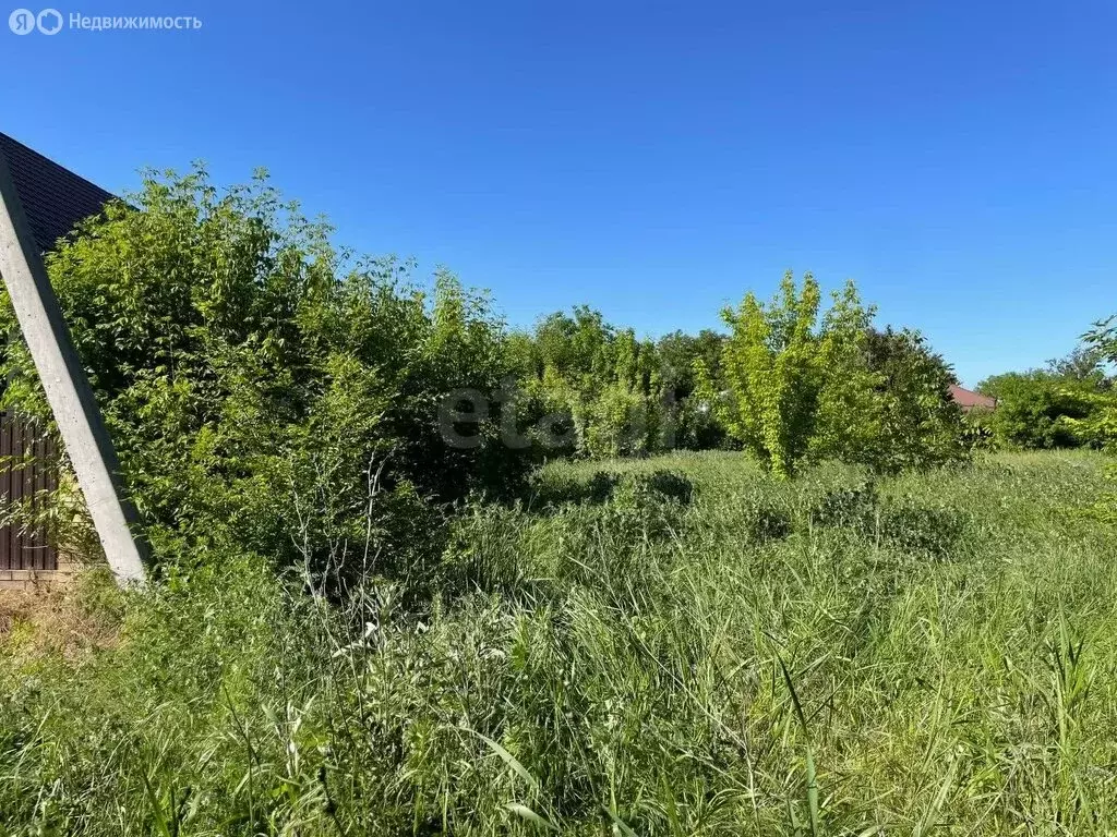 Участок в станица Новотитаровская, Заречный переулок (20 м) - Фото 1