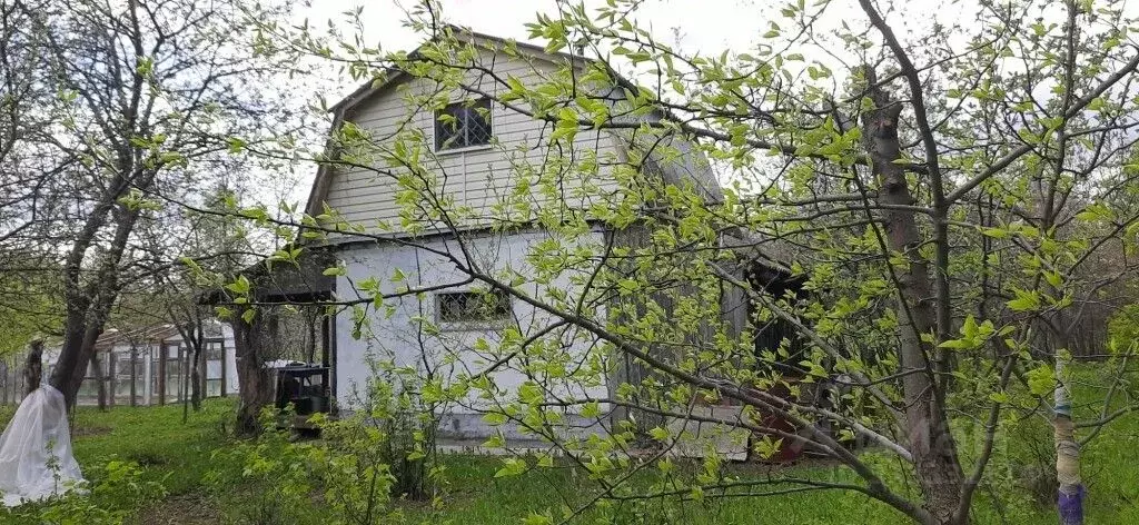 Дом в Владимирская область, Суздальский район, Новоалександровское ... - Фото 2