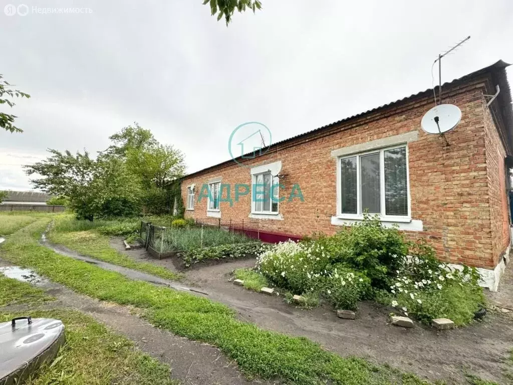 1к в 8-комнатной квартире (26 м) - Фото 2