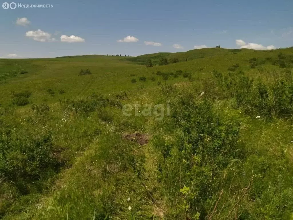 Участок в Усть-Калманский район, село Слюдянка (51792.5 м) - Фото 0