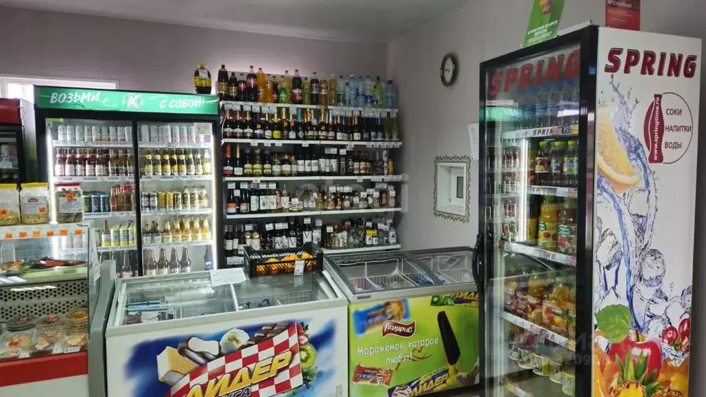 Торговая площадь в Тюменская область, Тюменский район, с. Салаирка ... - Фото 1