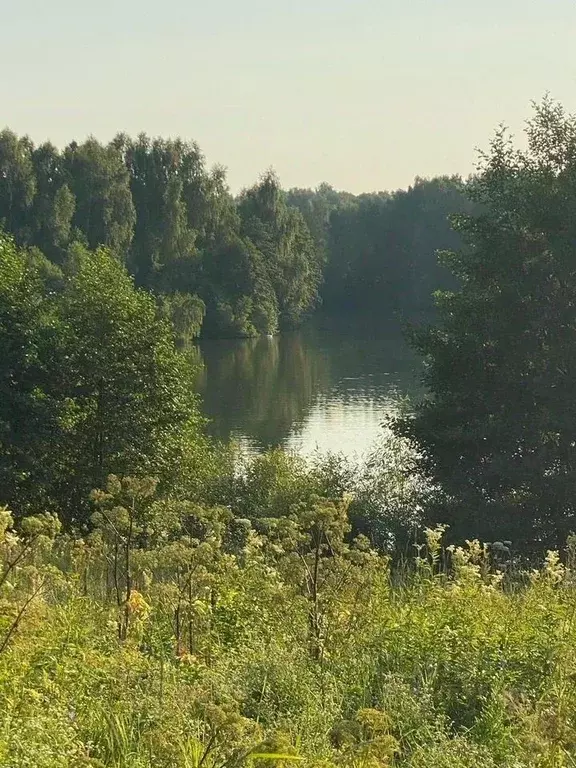 Участок в Московская область, Серпухов городской округ, д. Левое ... - Фото 1