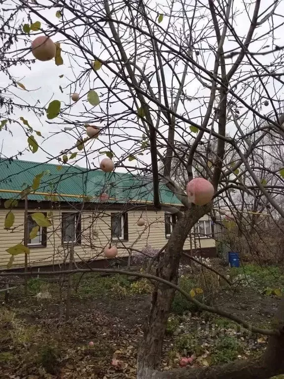 Дом в Тамбовская область, с. Сампур ул. Самородова, 8 (57 м) - Фото 1