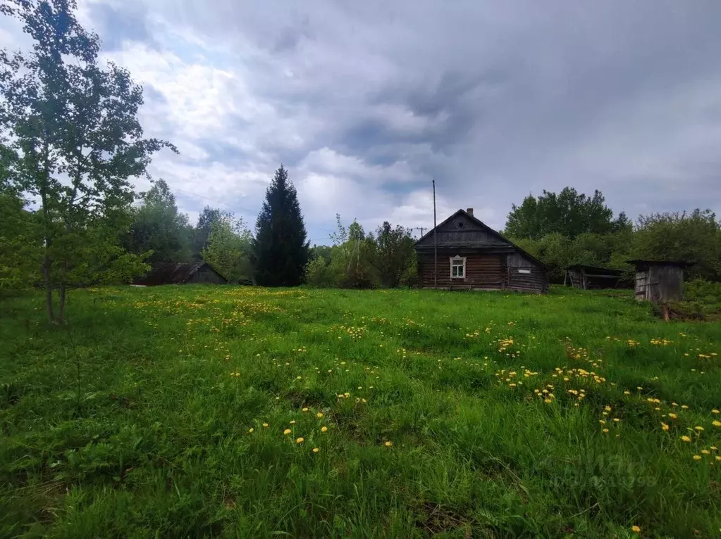 Участок в Калужская область, Козельск пер. Потапова (93.0 сот.) - Фото 1