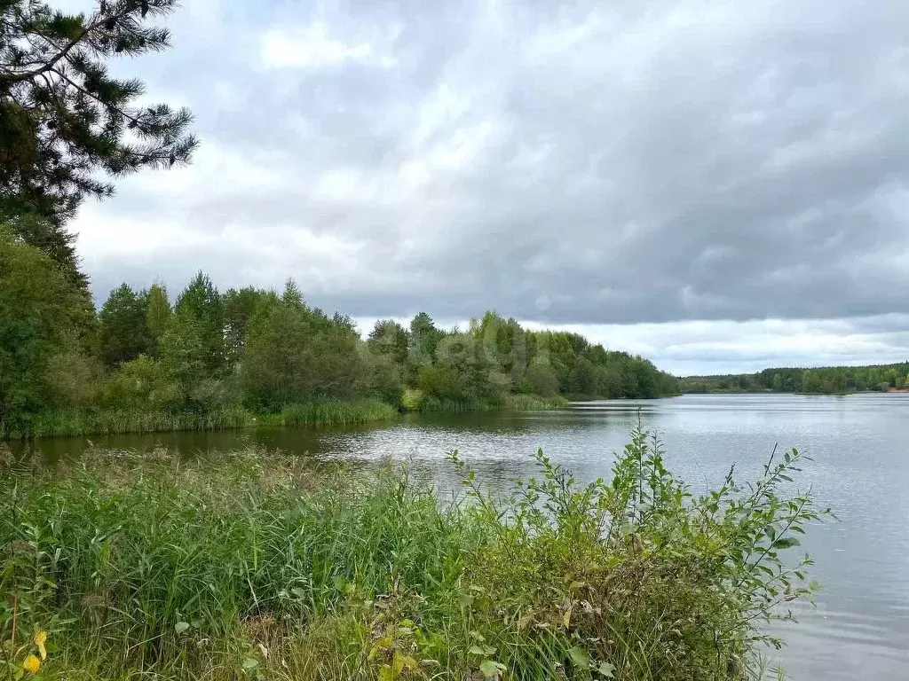 Участок в Кировская область, Кирово-Чепецкий район, Пасеговское с/пос, ... - Фото 1