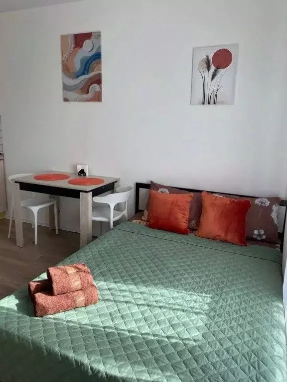 1-к кв. Московская область, Балашиха ул. Реутовская, 20 (20.0 м) - Фото 1