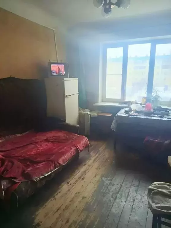 Комната Москва Суздальская ул., 22К1 (16.0 м) - Фото 1