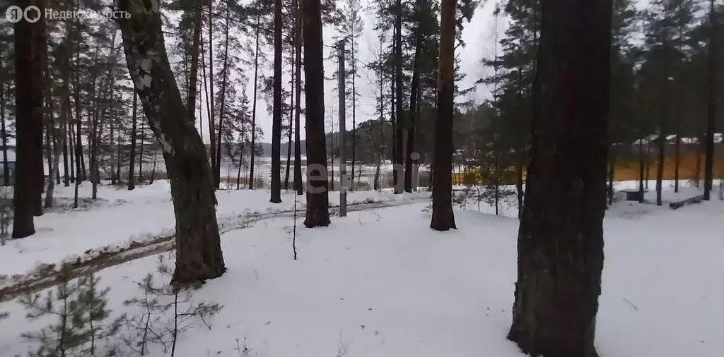 Участок в Нижегородская область, муниципальный округ Навашинский, село ... - Фото 1