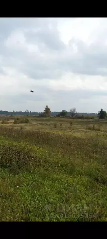 Участок в Ленинградская область, Ломоносовский район, Гостилицкое ... - Фото 0