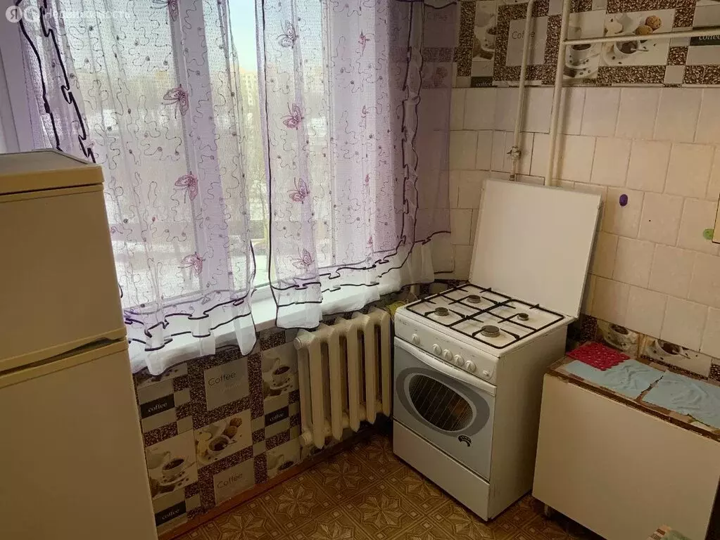 1-комнатная квартира: Волгоград, улица Репина, 66 (25.9 м) - Фото 1