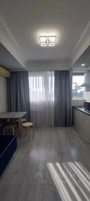 1-к кв. Краснодарский край, Сочи Пластунская ул., 73/1 (23.0 м) - Фото 2