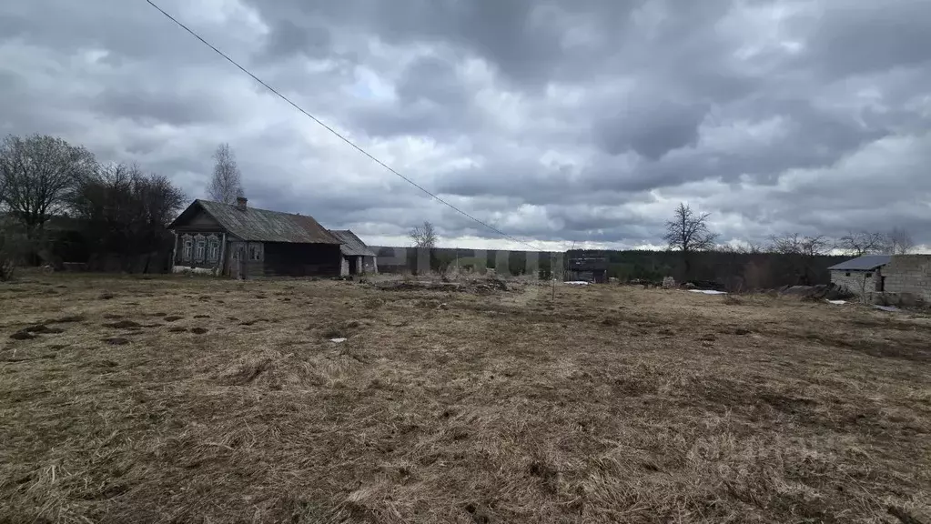 Участок в Владимирская область, Камешковский муниципальный округ, д. ... - Фото 1