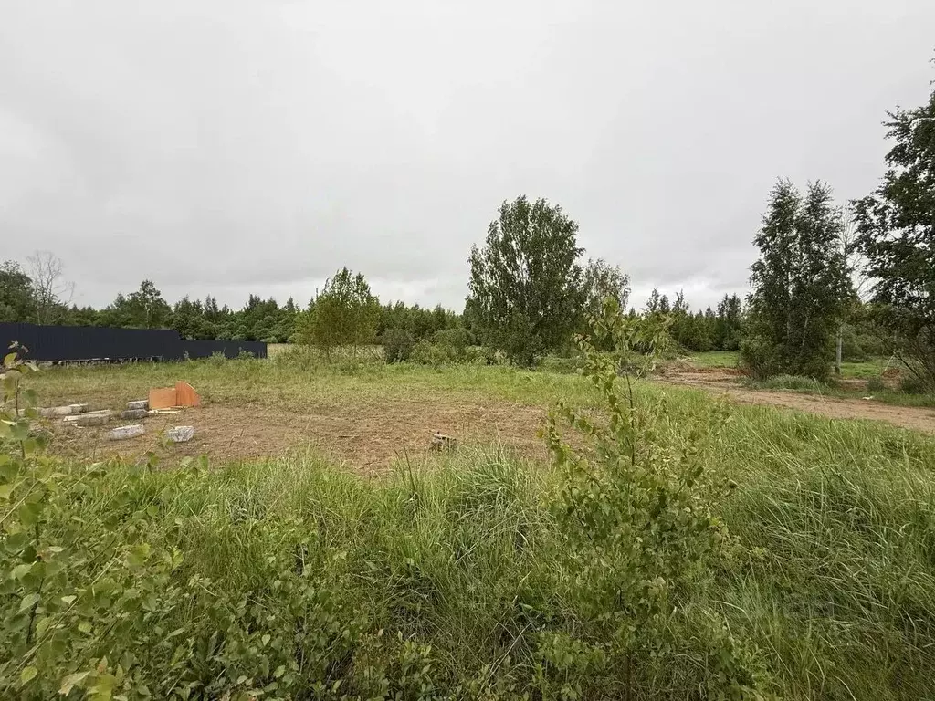 Участок в Ленинградская область, Всеволожский район, Колтушское ... - Фото 1