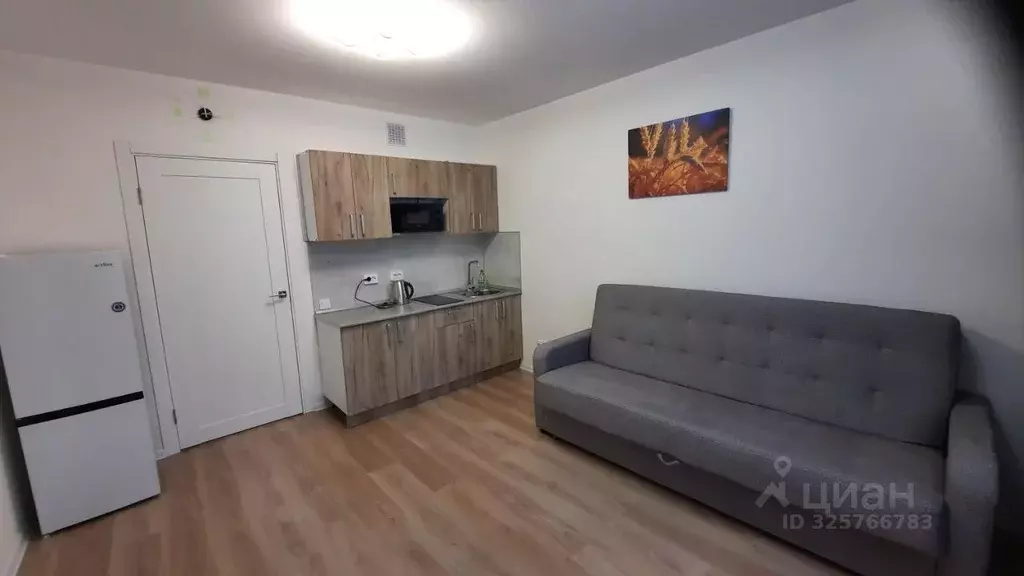 Студия Санкт-Петербург ул. Пахомовская, 14к2 (22.0 м) - Фото 2