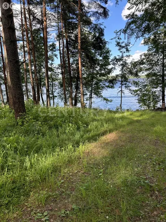 Участок в Приозерский район, Громовское сельское поселение, посёлок ... - Фото 1