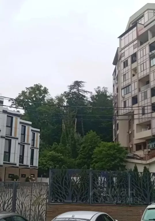 Участок в Краснодарский край, Сочи Бытха мкр, ул. Бытха (14.0 сот.) - Фото 1