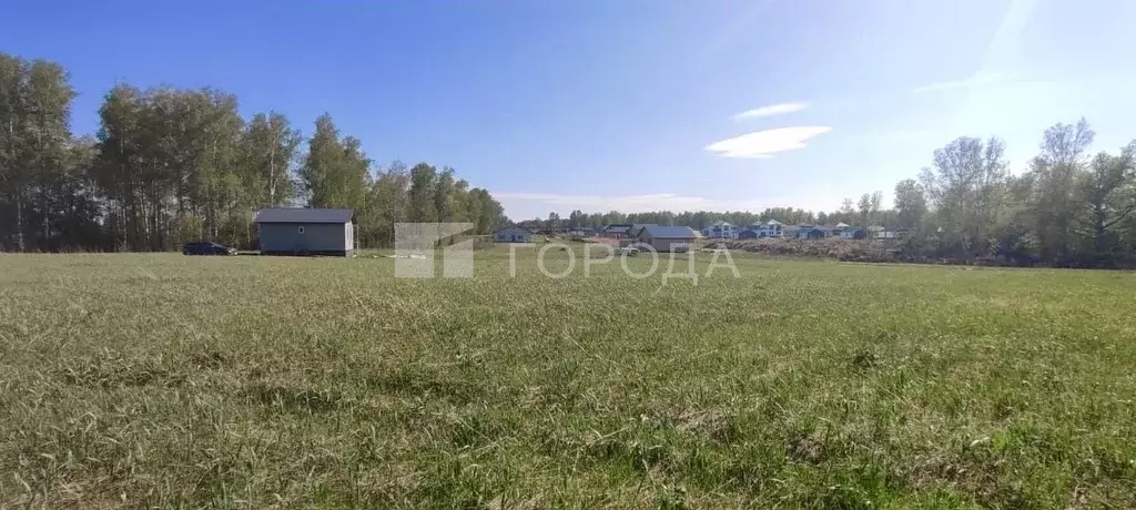 Участок в Алтайский край, Первомайский район, с. Фирсово ул. Кедровая ... - Фото 2