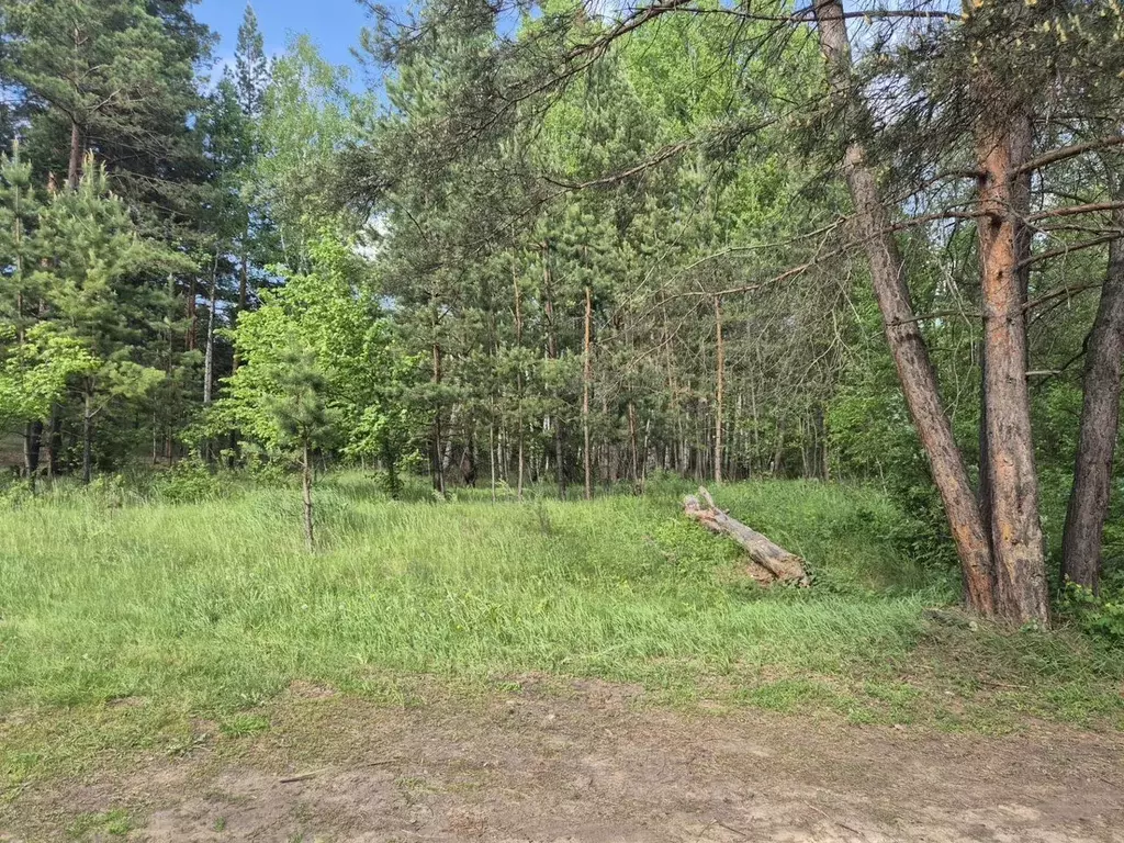 Участок в Самарская область, Красноярский район, Новый Буян с/пос, с. ... - Фото 2