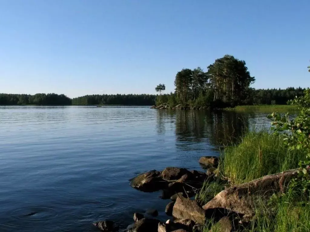 Участок в Ленинградская область, Всеволожский район, Токсовское ... - Фото 0