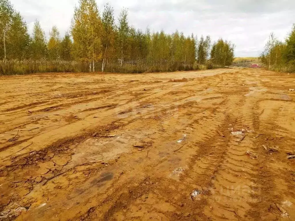 Участок в Нижегородская область, Кстовский муниципальный округ  (500.0 ... - Фото 1