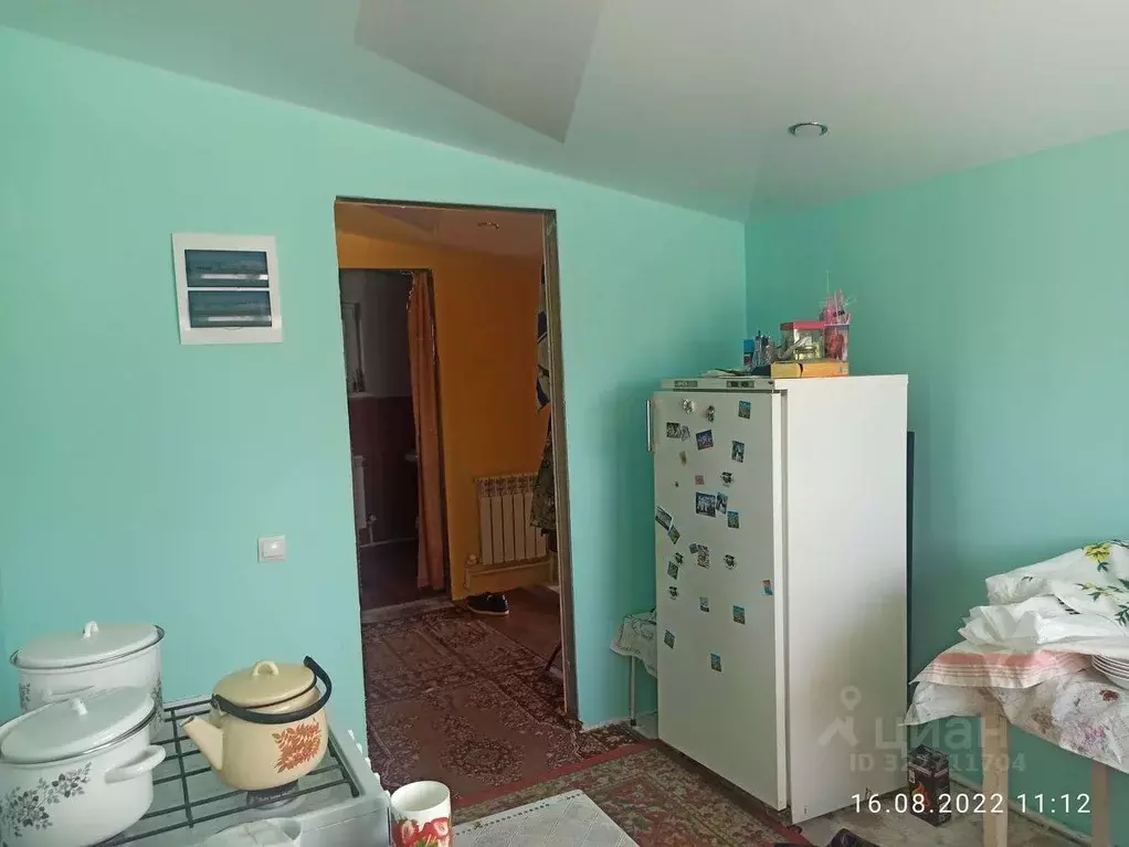 Дом в Самарская область, Борский район, с. Петровка Заводская ул. (67 ... - Фото 2