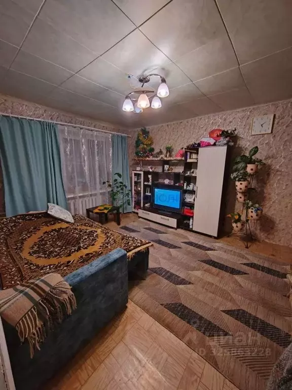 1-к кв. Нижегородская область, Бор муниципальный округ, пос. ... - Фото 2