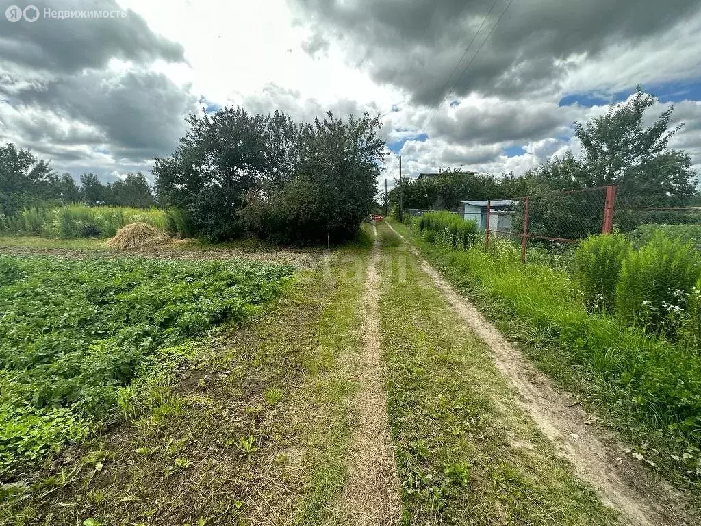 Участок в Брянск, садоводческое товарищество Верхнее (6 м) - Фото 1