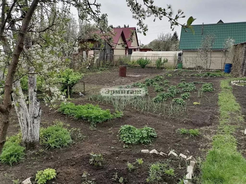Участок в Курганская область, Курган Светлый СНТ,  (5.1 сот.) - Фото 0
