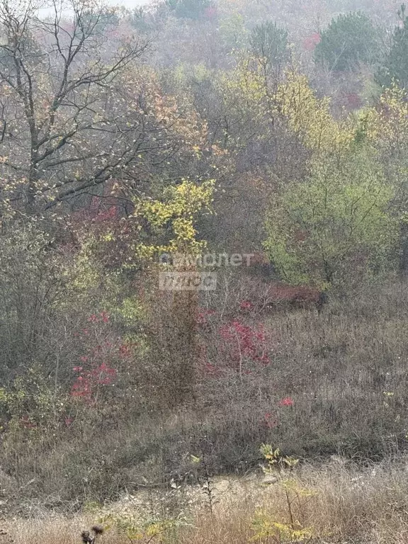 Участок в Краснодарский край, Анапа муниципальный округ, с. Супсех ул. ... - Фото 1