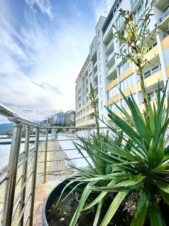 1-к кв. Крым, Ялта муниципальный округ, Отрадное пгт ул. Отрадная, 25А ... - Фото 2