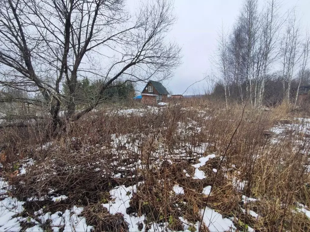Участок в Московская область, Лотошино муниципальный округ, д. ... - Фото 1