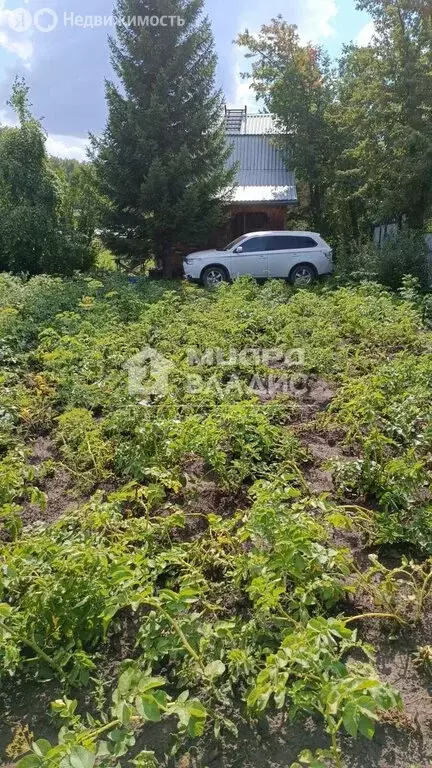 Участок в Омск, территория СОСН Спектр, 8-я аллея (4.95 м) - Фото 2