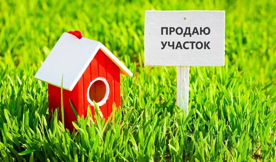 Участок в Новгородская область, Чудовский муниципальный район, ... - Фото 2