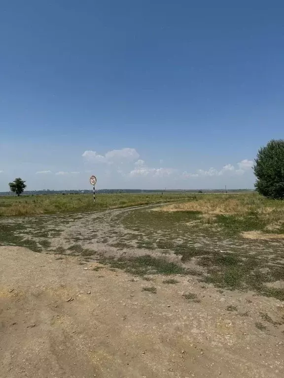 Участок в Ростовская область, Аксайский район, Старочеркасская ст-ца, ... - Фото 1