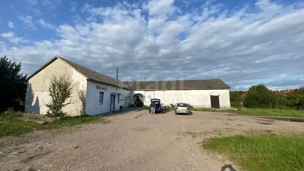 Торговая площадь в Калининградская область, Багратионовский ... - Фото 1