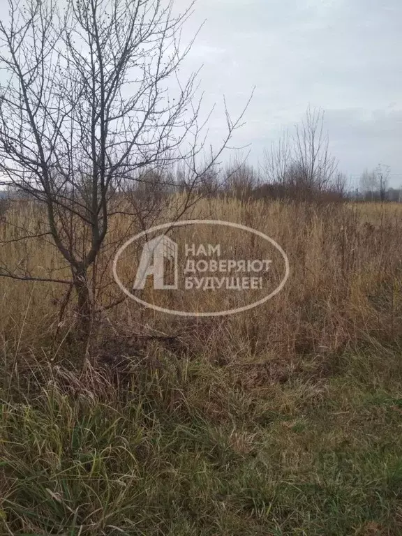 Участок в Пермский край, Чайковский городской округ, с. Большой Букор ... - Фото 2